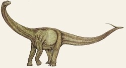 Aeolosaurus