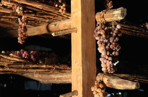 Drying grapes Drying grapes