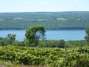 lake view from distillery