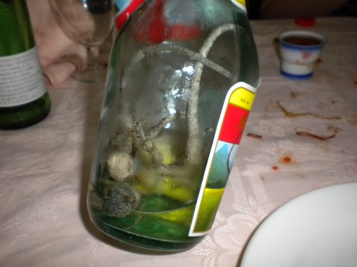 Not one dead lizard, but two