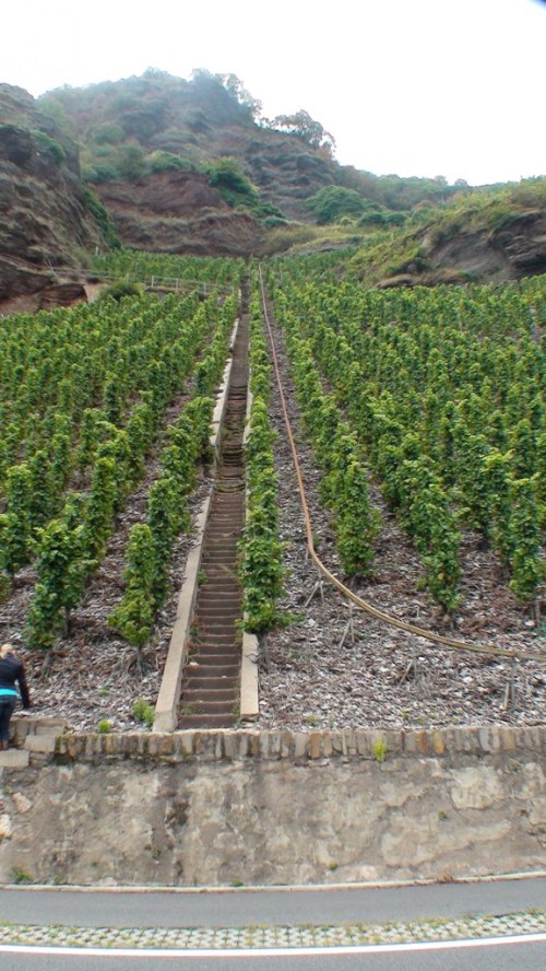 you can see me making my way up the stairs at the bottom left - helps give some scale to the shot
