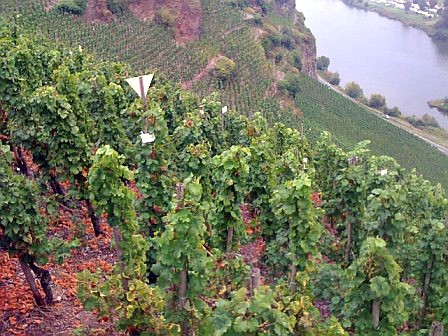 some sections have slopes up to 70 degrees