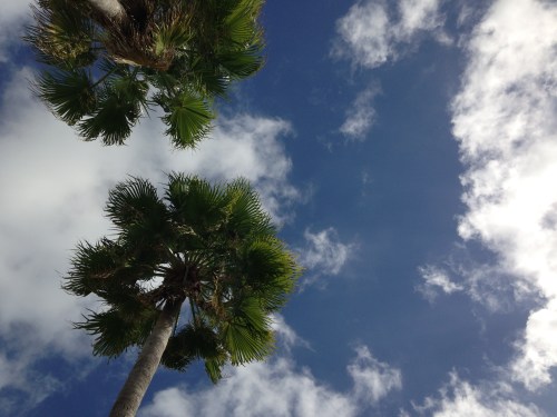 We snuck in a quick weekend to South Beach.